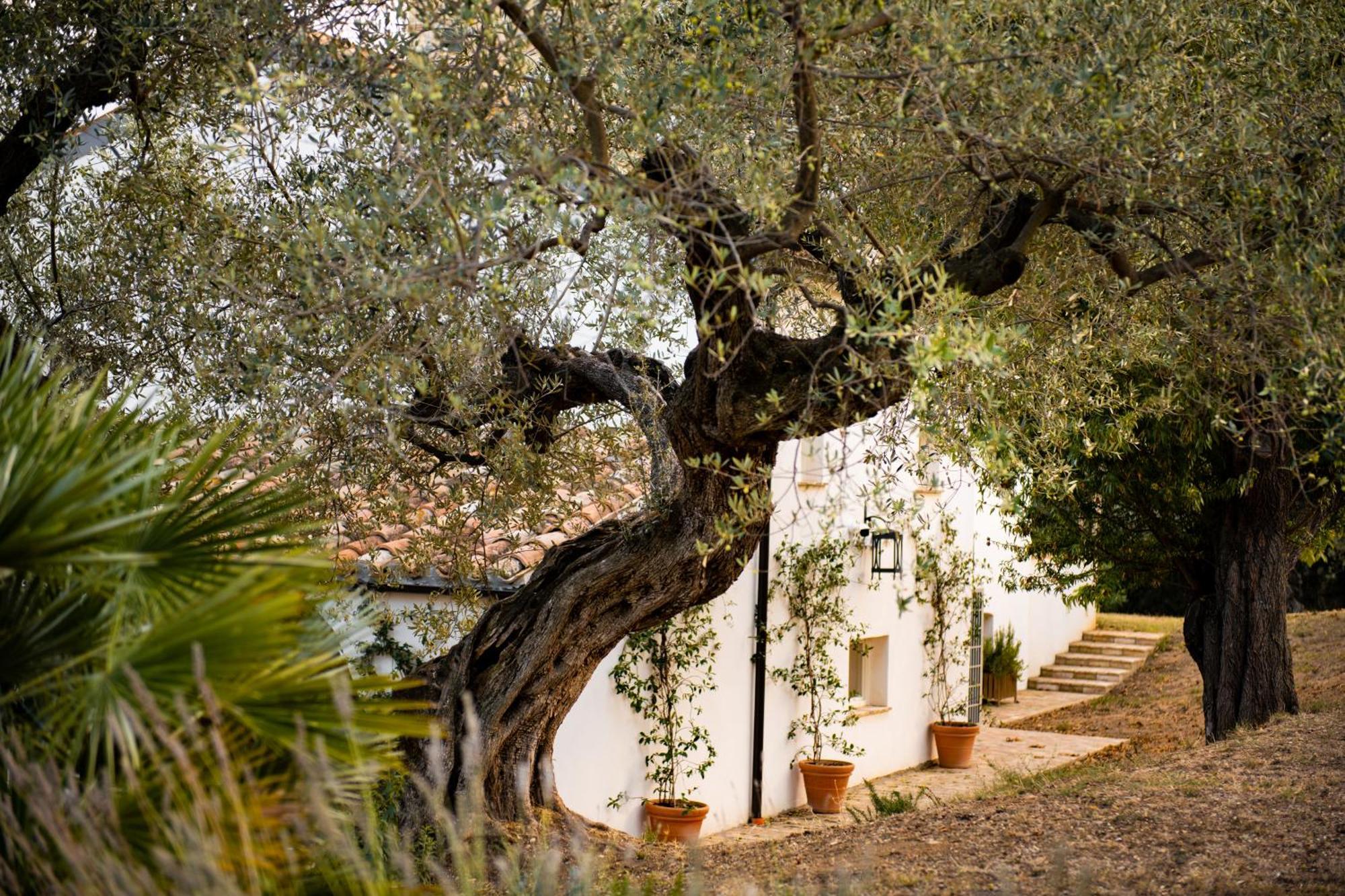 Casale Delle Lavande Citta Sant'Angelo Exterior foto